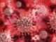 coronavirus - covid-19 - image licence free from pixabay