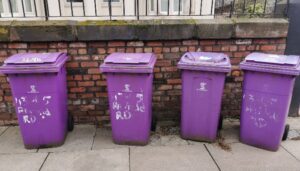 Liverpool bins