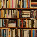 bookshelves- free to use licence, no copyright