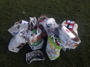 sefton park rubbish- image by Anthea Ku