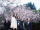 Blossoms