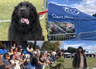 Mowgli Dog Show, Wirral