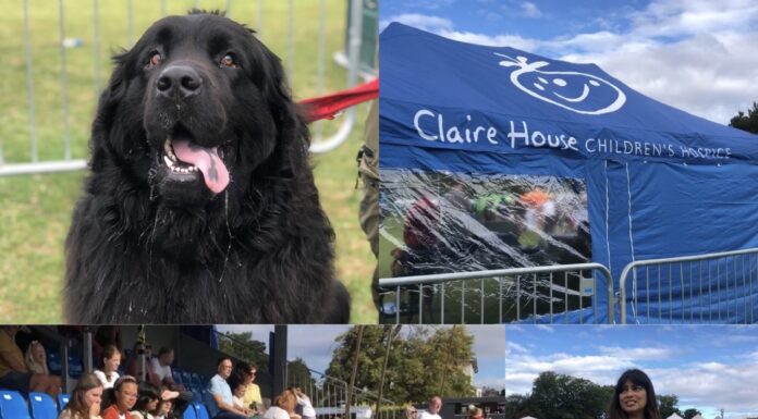 Mowgli Dog Show, Wirral