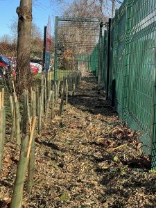 Wood chippings donated Friends of Maghull And District