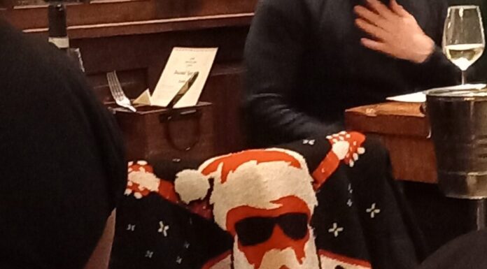 (c) Christmas jumper by Desternie Hills