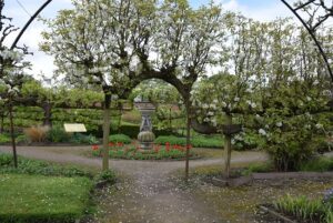 Croxteth Hall gardens. 