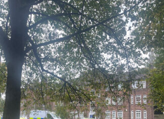 Police cars in West Derby at the scene. Photo by Mollie Hankin