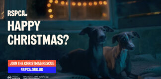 Join the Christmas Rescue photo - RSPCA