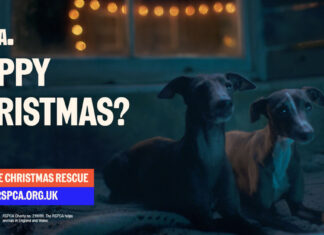 Join the Christmas Rescue photo - RSPCA