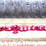 Poppies laid at the cenotaph (c) Lucas Wroight