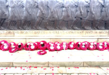 Poppies laid at the cenotaph (c) Lucas Wroight