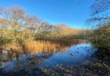 Credit: National Trust, Formby