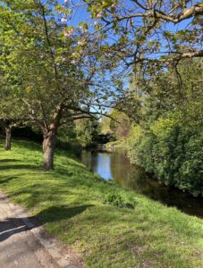 Sefton park