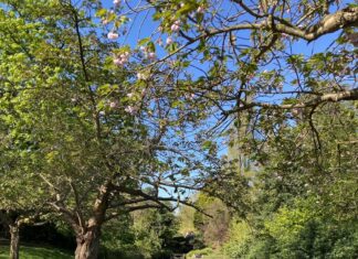 Sefton park