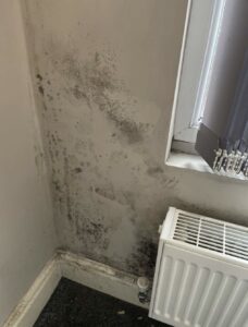 Black mould in student housing