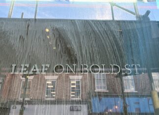 LEAF window