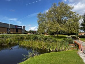 Green space - Edge Lane
