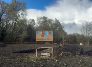 One of the raised beds facing onto Leasowe Road