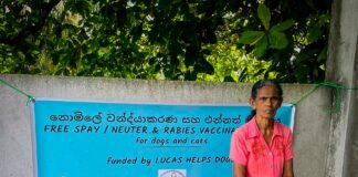 Lucas Helps Dogs charity banner outside their monthly pop-up centre in Hikkaduwa.