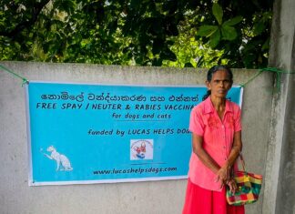 Lucas Helps Dogs charity banner outside their monthly pop-up centre in Hikkaduwa.