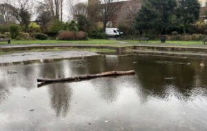 Out-of-use pond, Coronation Park, Crosby