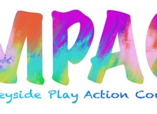 Image shows Merseyside Play Action Council logo