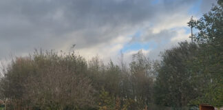 Knowsley Eco Therapy Garden