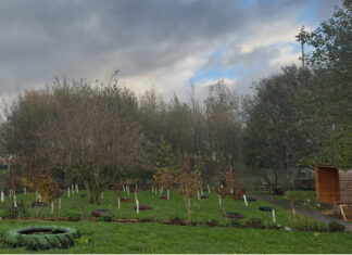 Knowsley Eco Therapy Garden