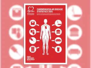 image shows diagram of body with cardiovascular disease statistics coming off