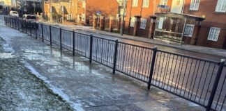 Icy path and snowy grass. Photo (c) Chloe McLoughlin