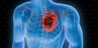 image shows a picture of x-ray body with heart inside