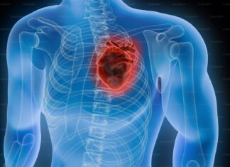 image shows a picture of x-ray body with heart inside