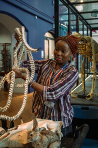 Hope Tsuma showing a snake skeleton as part of the Chinese zodiac exhibition.