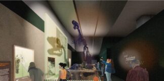 An impression of how the newly refreshed gallery could look.