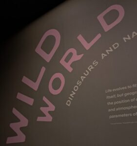 Picture of the Wild World sign at world museum