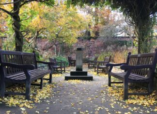 “Calderstones Park, Liverpool.” by Radarsmum67, CC BY 2.0 https://www.flickr.com/photos/radarsmum67/45833296741/in/photolist-8PB7t6-2brt4zH-wFMqNn-wFMgda-2cQ8G9z-2cQ8Cja-2brsTVH-pEeMs7-2cepMbh-2aVdqse-2cepLr1-QHsttn-23SiaRc-QHstp4-2dnGfBy-2dnGfuj-QHstNF-23Sibsn-2d5X9Mv-BjK4W4-GSYE4E-8St2d3-AEKgiM-2pREnKg-2rGQEu8