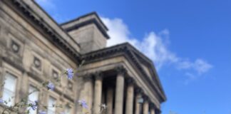 Wildflowers outside the museum in Liverpool.