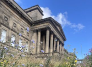 Wildflowers outside the museum in Liverpool.