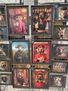 Supreme Cat Show 2026, Picture by Tamsin Keeney