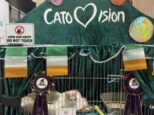 Supreme Cat Show 2026, Picture by Tamsin Keeney