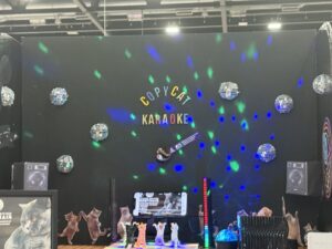 Supreme Cat Show 2026, Picture by Tamsin Keeney