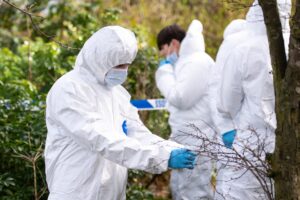 Police investigation at stanley park