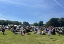 Africa Oye festival in Sefton Park. Image: Lucy Armour