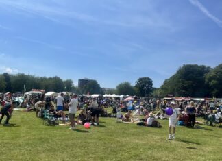 Africa Oye festival in Sefton Park. Image: Lucy Armour