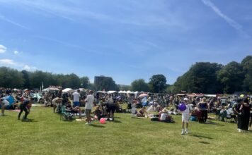 Africa Oye festival in Sefton Park. Image: Lucy Armour