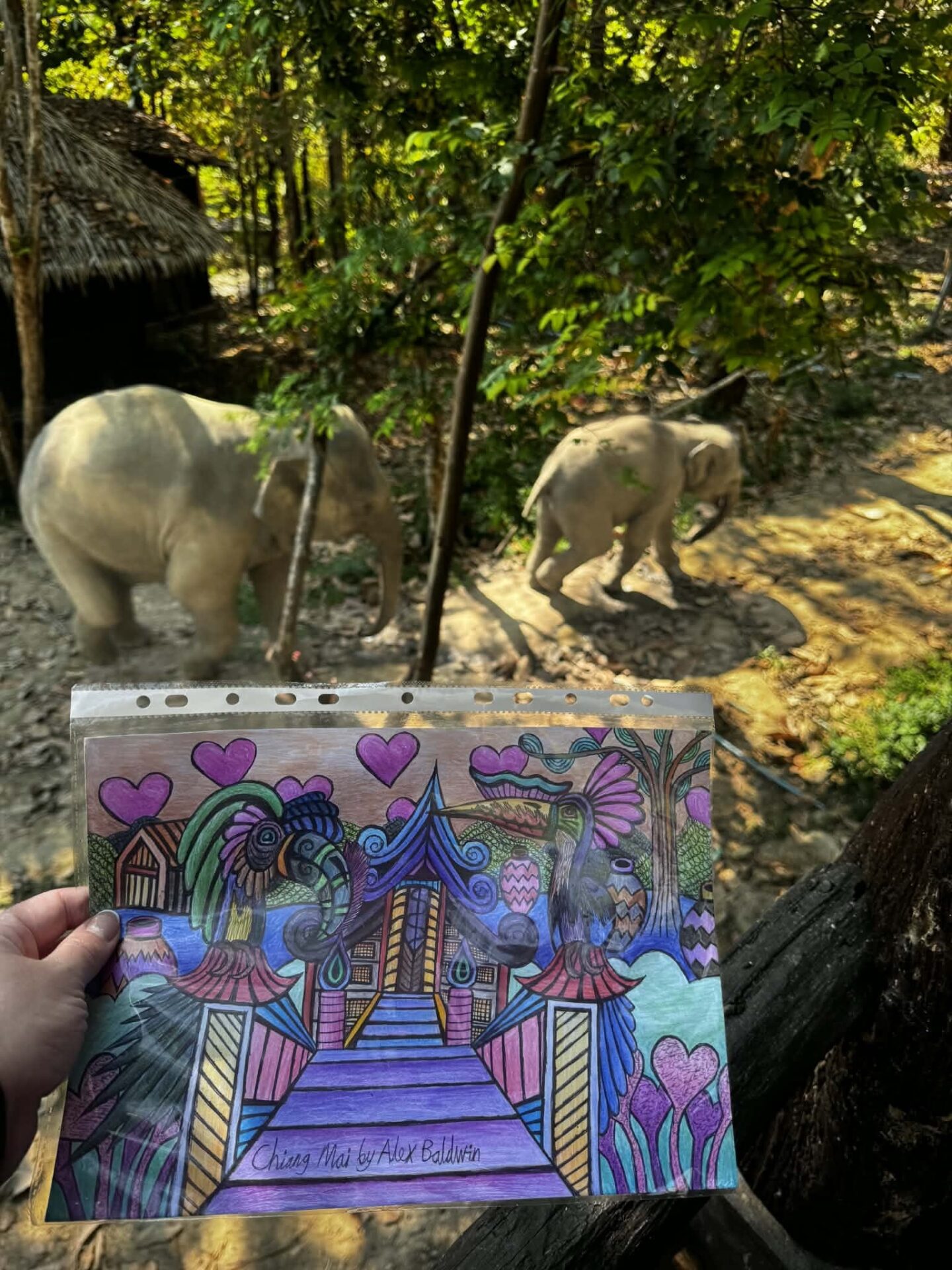 Elephants and art Thailand
